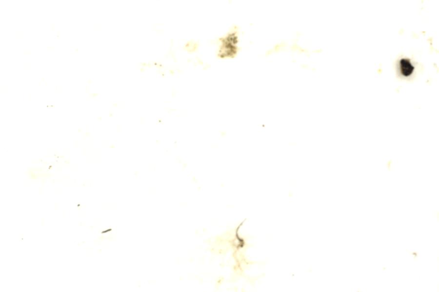 Image 57